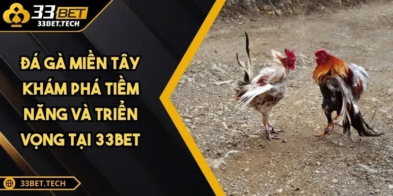 Đá Gà Miền Tây