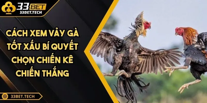 Cách Xem Vảy Gà Tốt