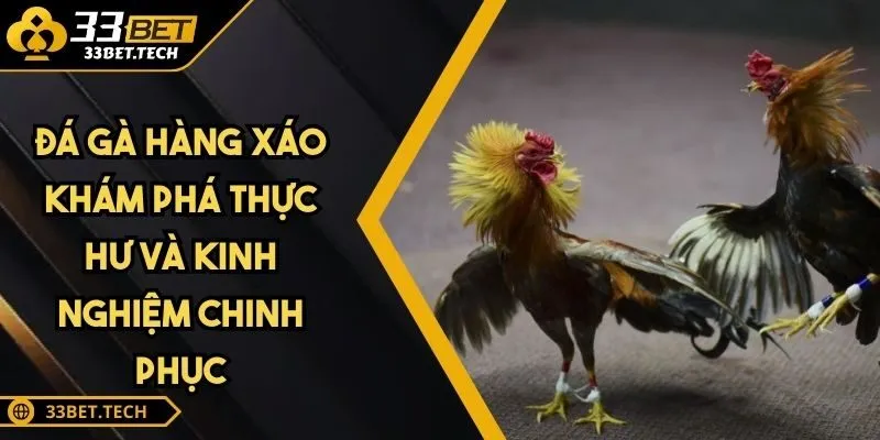 Đá Gà Hàng Xáo